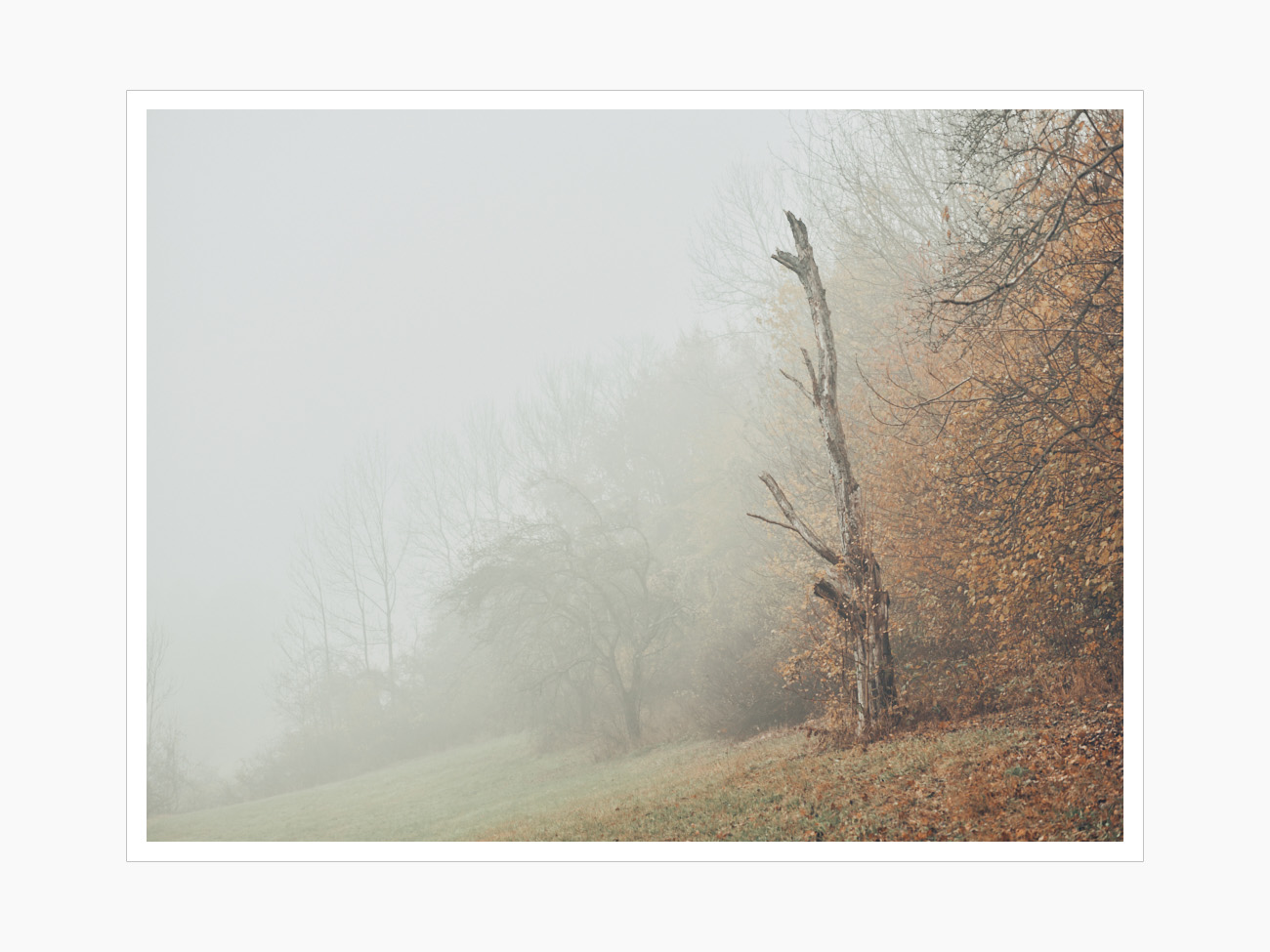 Max Schiefele Alle Bilder  DSF3666